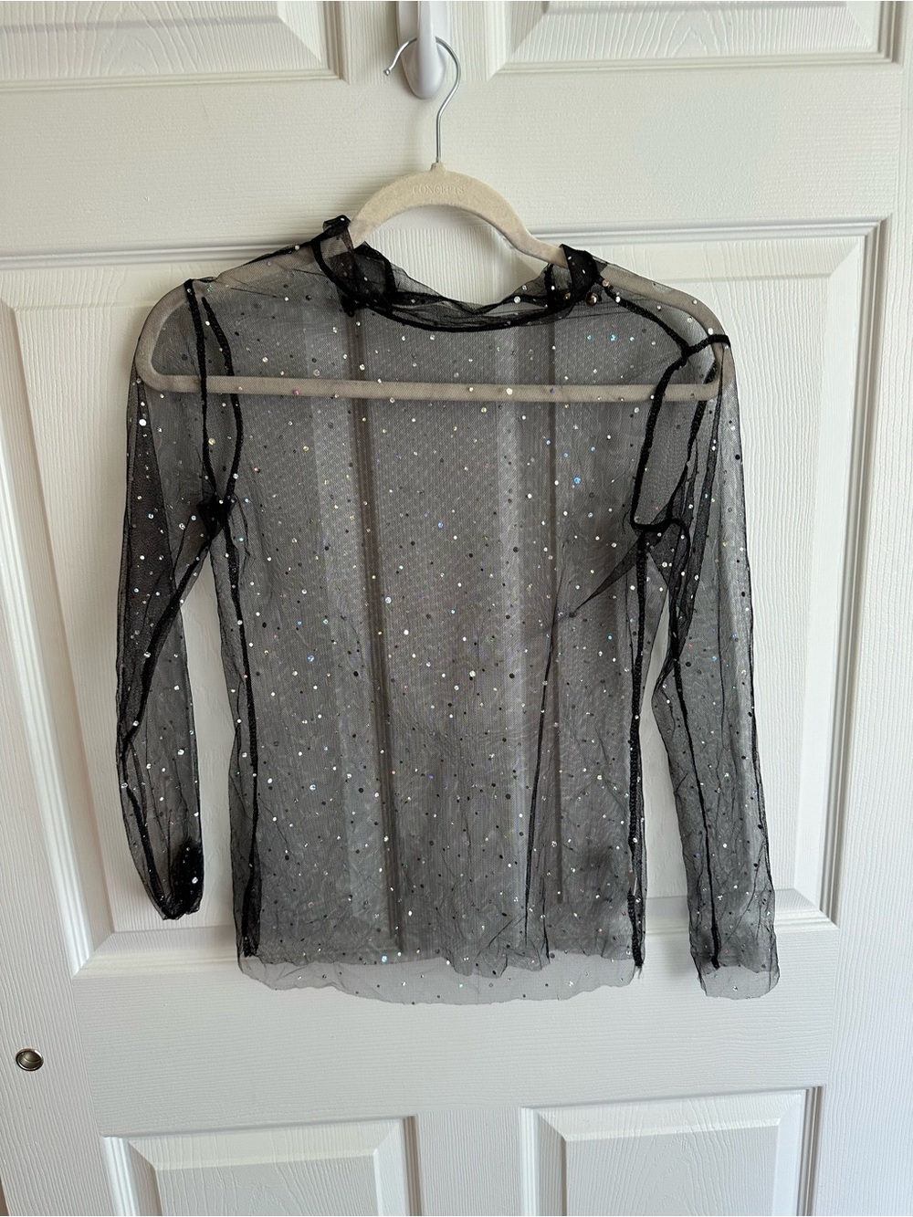 Sheer Black Sparkle Long-Sleeve Mesh Top